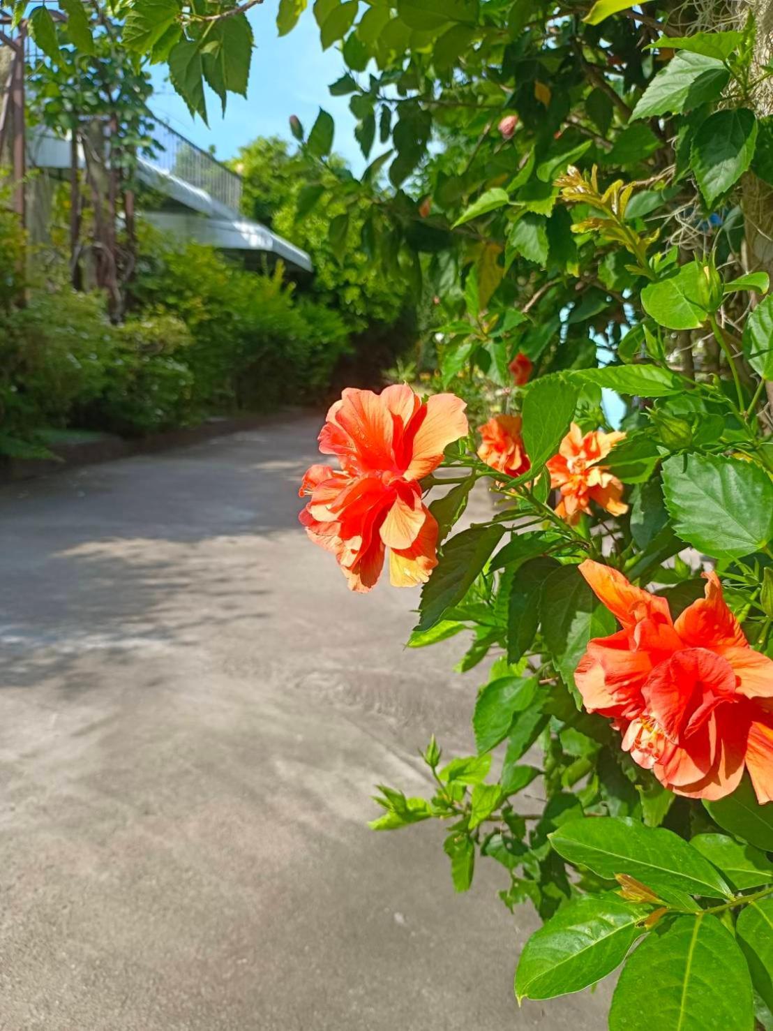 Phannarai House Station touristique Plage de Lamai